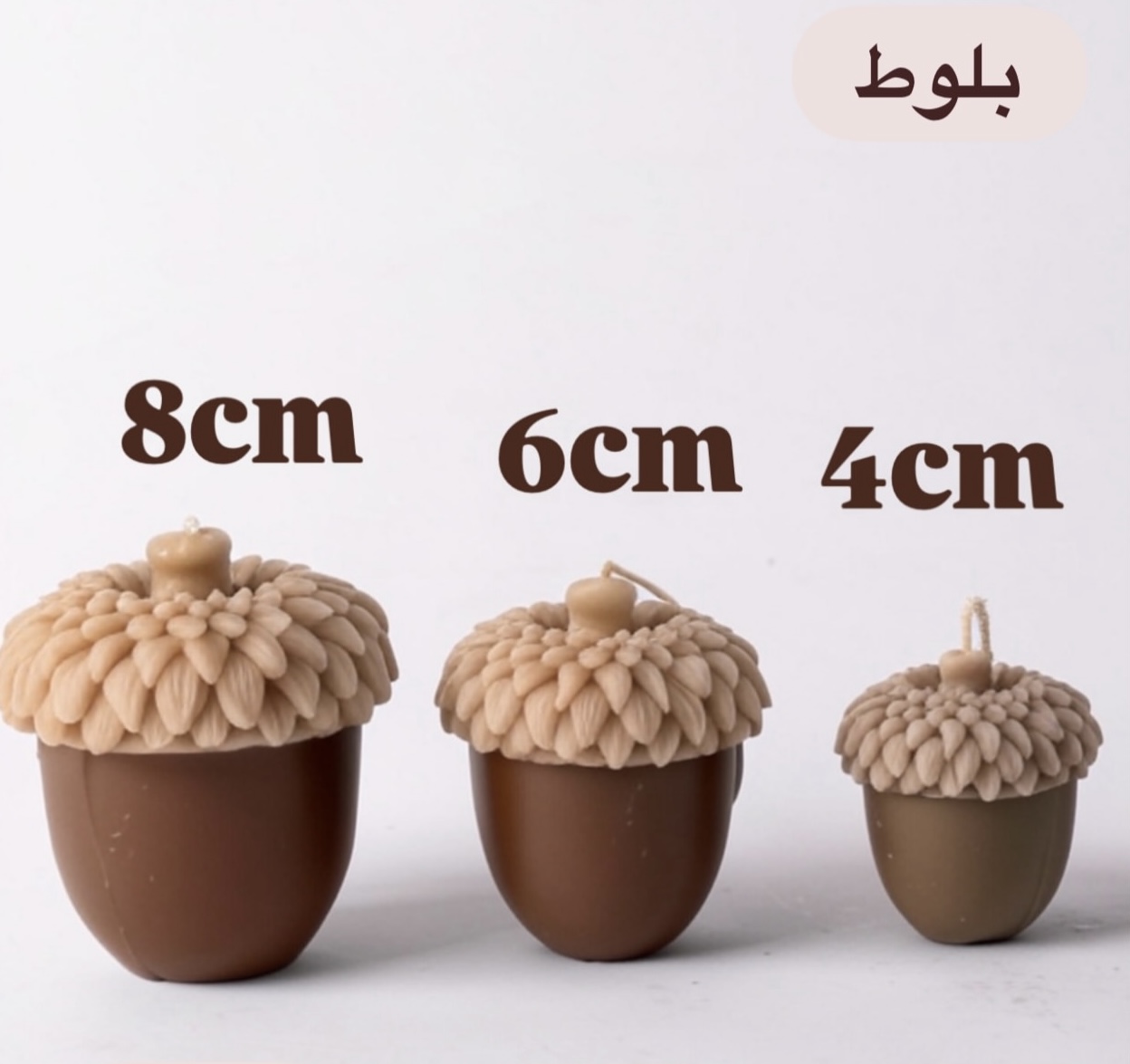 قالب بلوط در سه سایز
