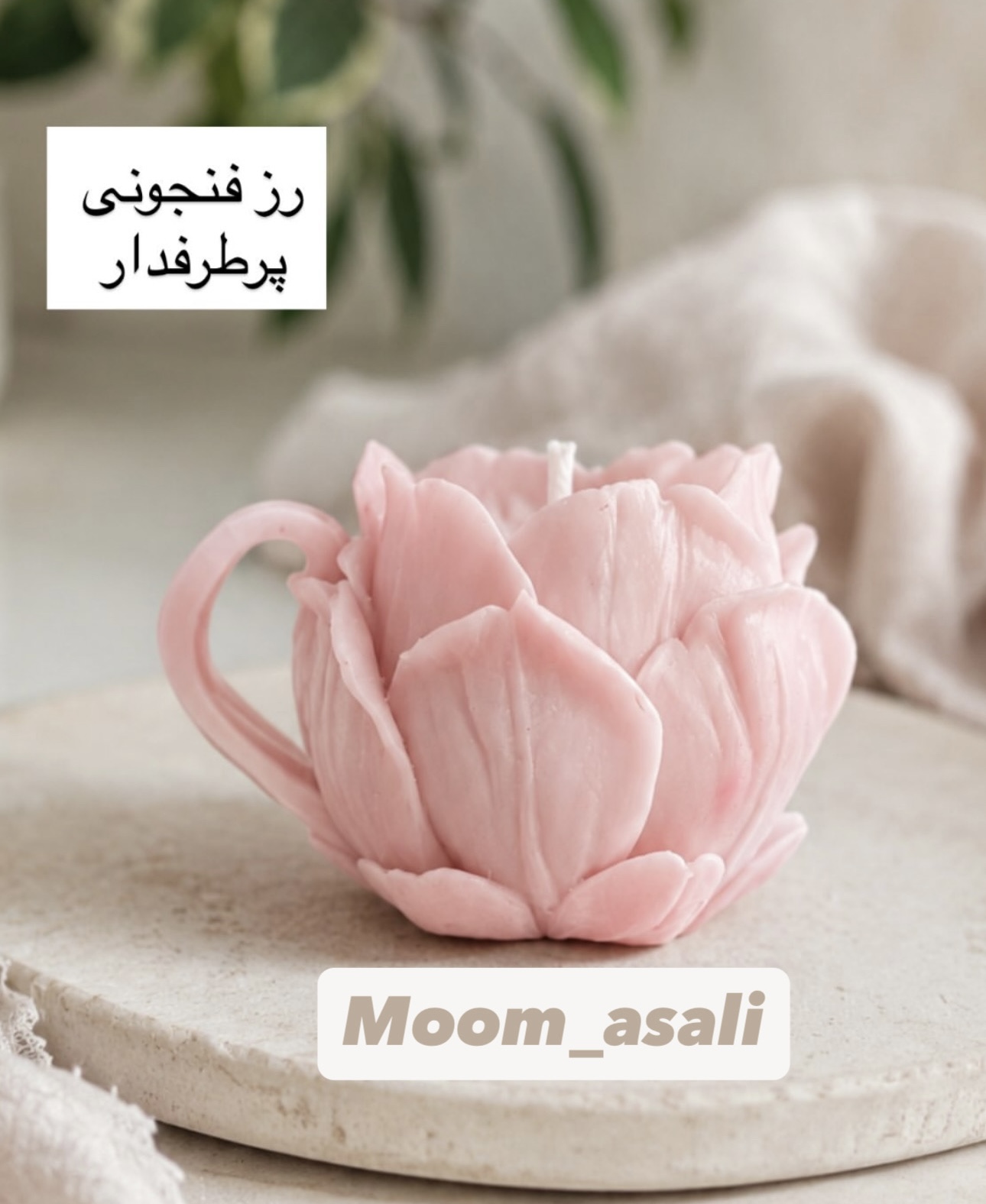 قالب رز فتجانی